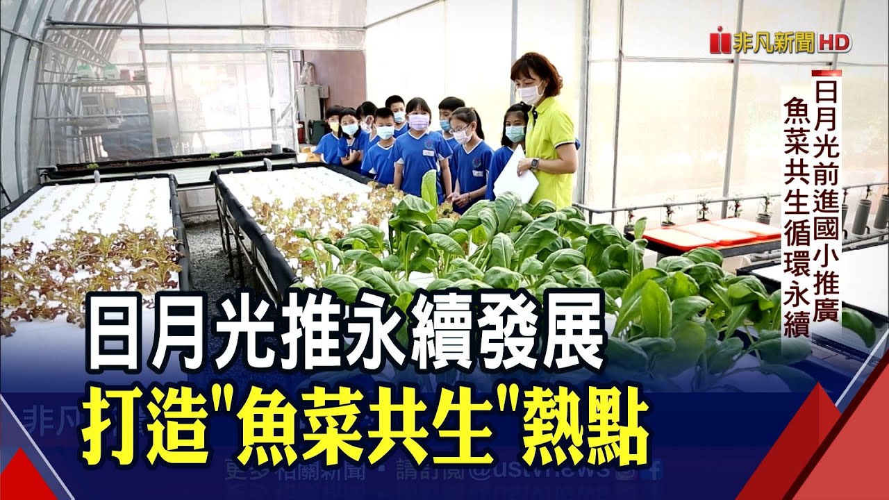 Featured image for “魚菜共生科學化管理農場”